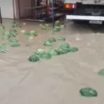 Синоптик рассказал о библейском потопе на юге России