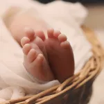 Новорожденного ребенка нашли в коробке рядом с трассой под Новосибирском