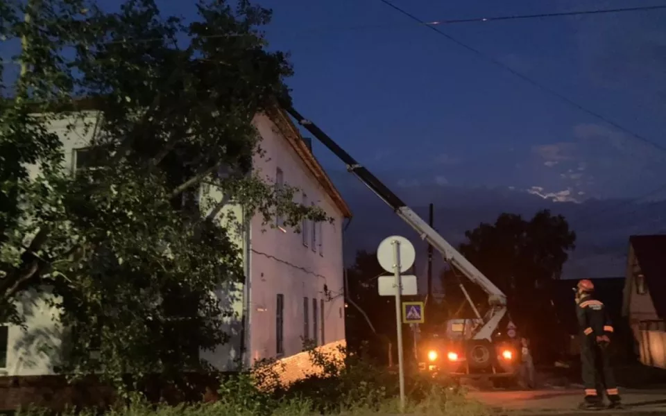 Деревья рухнули на школу и проезжую часть после ливня в Барнауле