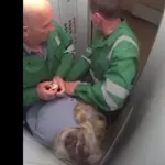 Санитары психушки избили россиянку, пока везли связанную в лифте