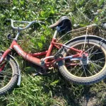 Иномарка сбила детей на велосипедах в алтайском селе – один ребёнок погиб