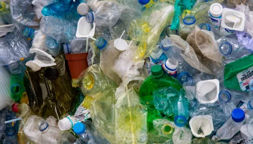 Около 80% жителей России готовы отказаться от пластиковой посуды