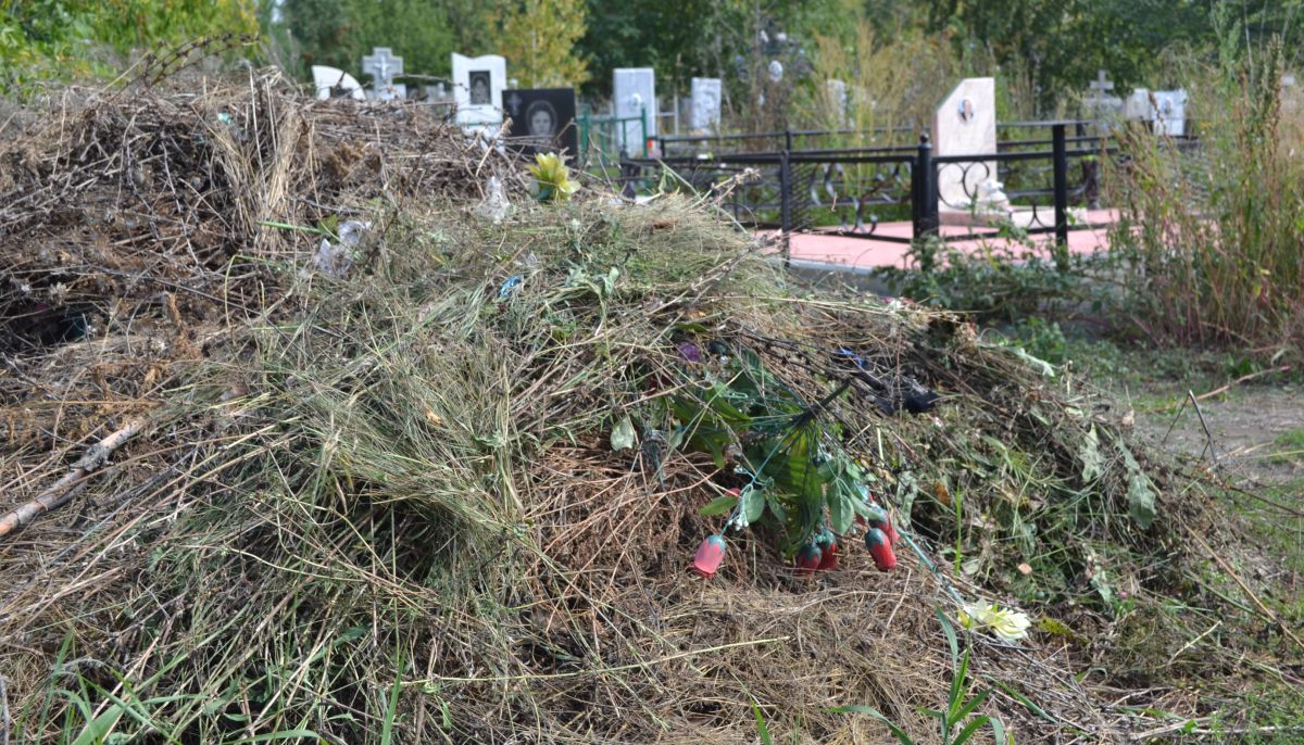 Почему кладбище Новоалтайска зарастает стихийными свалками - Толк 02.09.2021