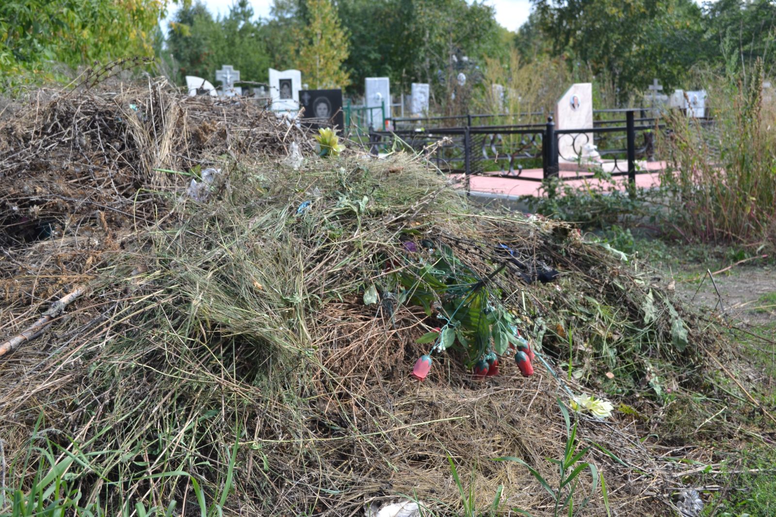 Почему кладбище Новоалтайска зарастает стихийными свалками - Толк 02.09.2021