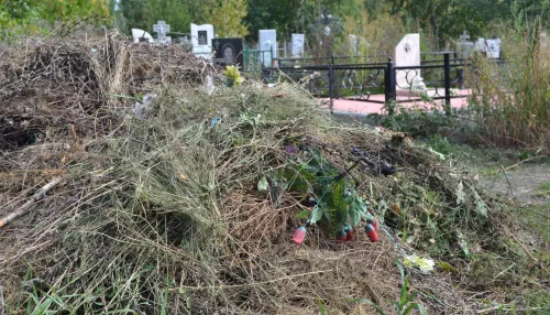 Мусор среди могил: почему кладбище Новоалтайска утопает в стихийных свалках