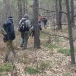 Шестерых пропавших осенью жителей Алтайского края разыскивают волонтеры