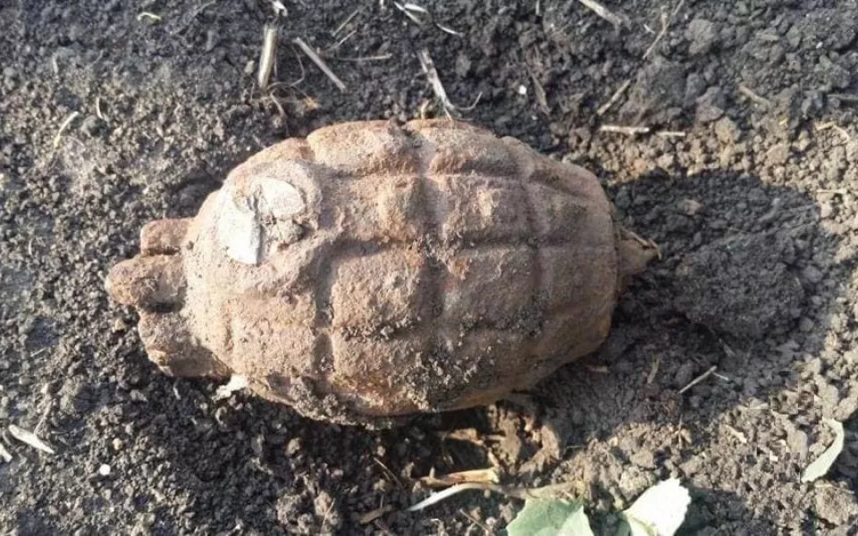 Боевую гранату времен Первой мировой нашли в поле у алтайского села