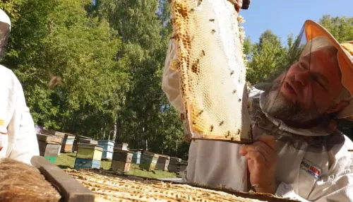 Пчеловод Юрий Кадыров рассказал, как хобби стало бизнесом