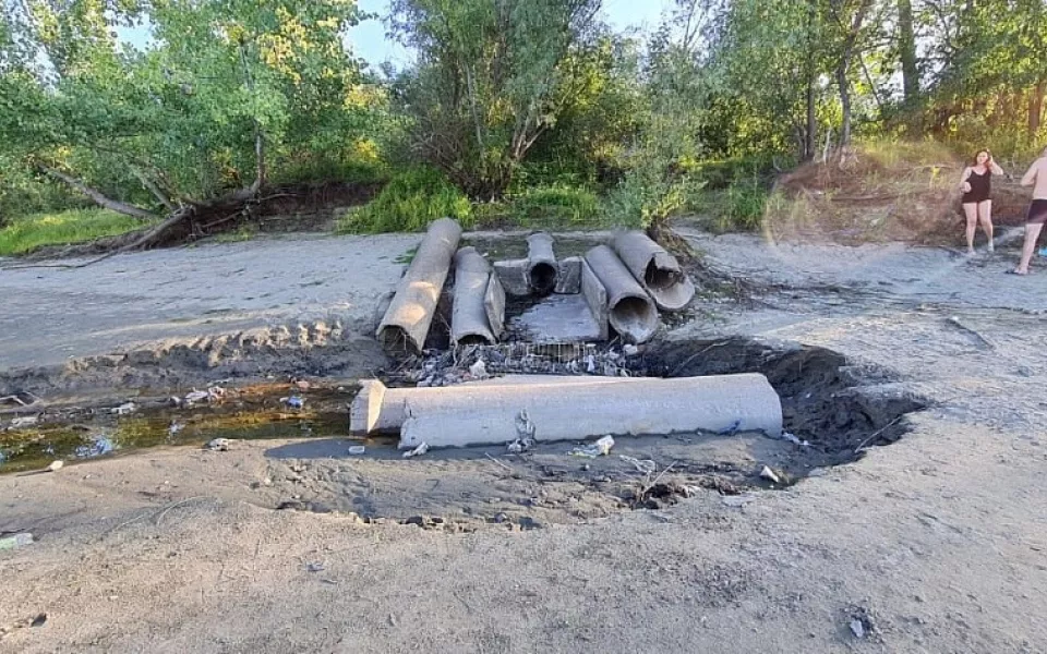 Леруа Мерлен опроверг причастность к стокам на пляже Барнаула