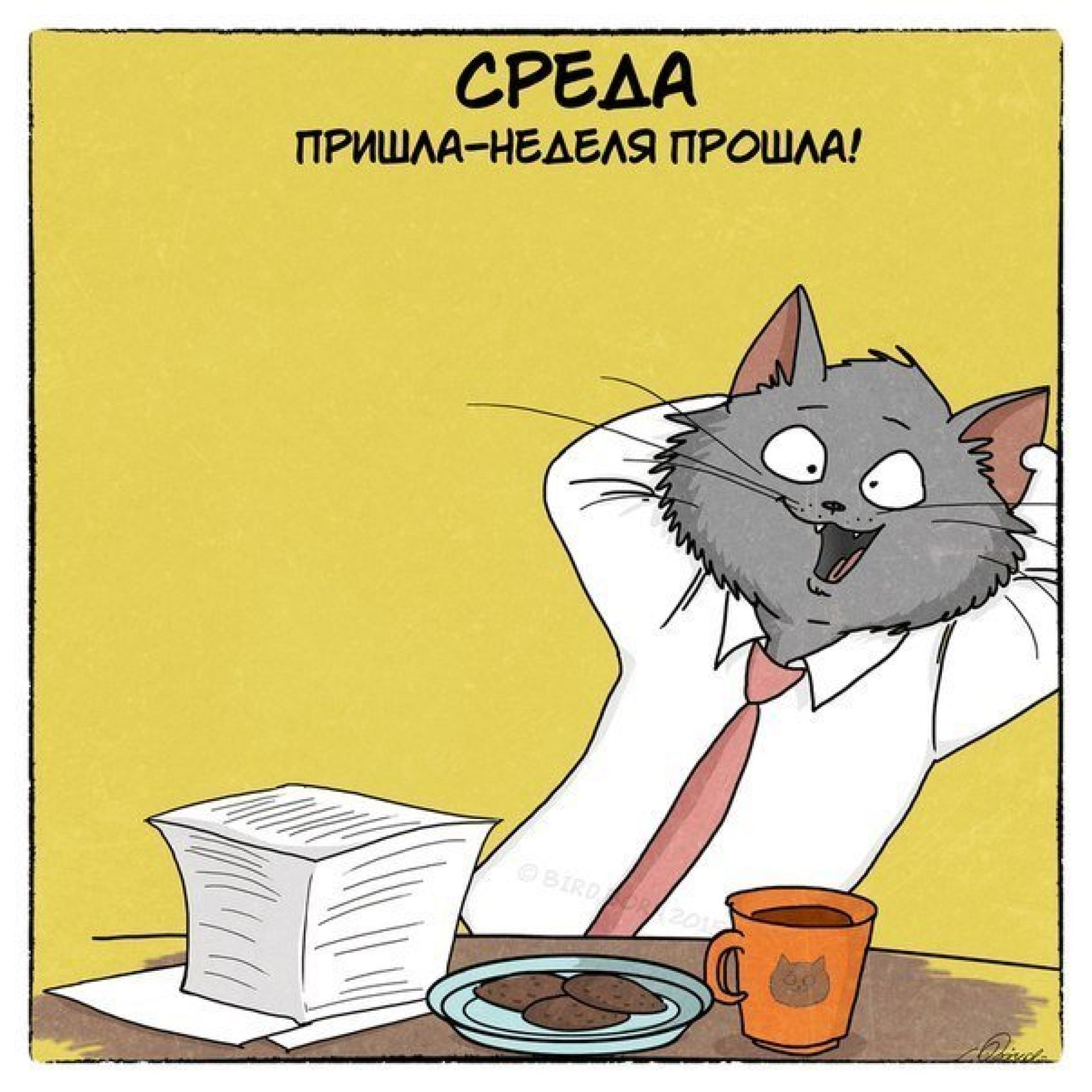 Завтра среда