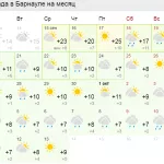 Трехдневное бабье лето установилось в Алтайском крае, но к выходным похолодает