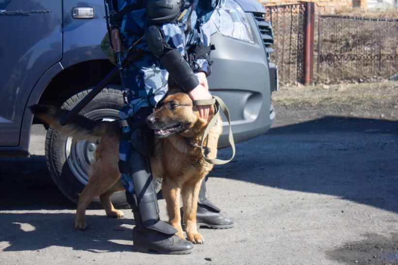  Фото:Анна Меньшикова