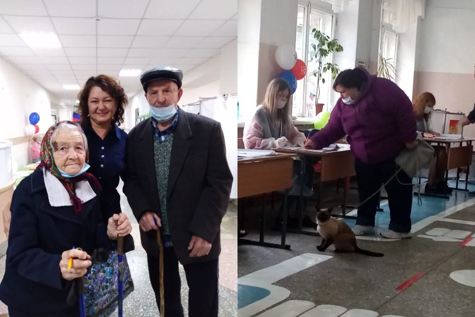 92-летняя пара на выборах и избирательница с кошкой