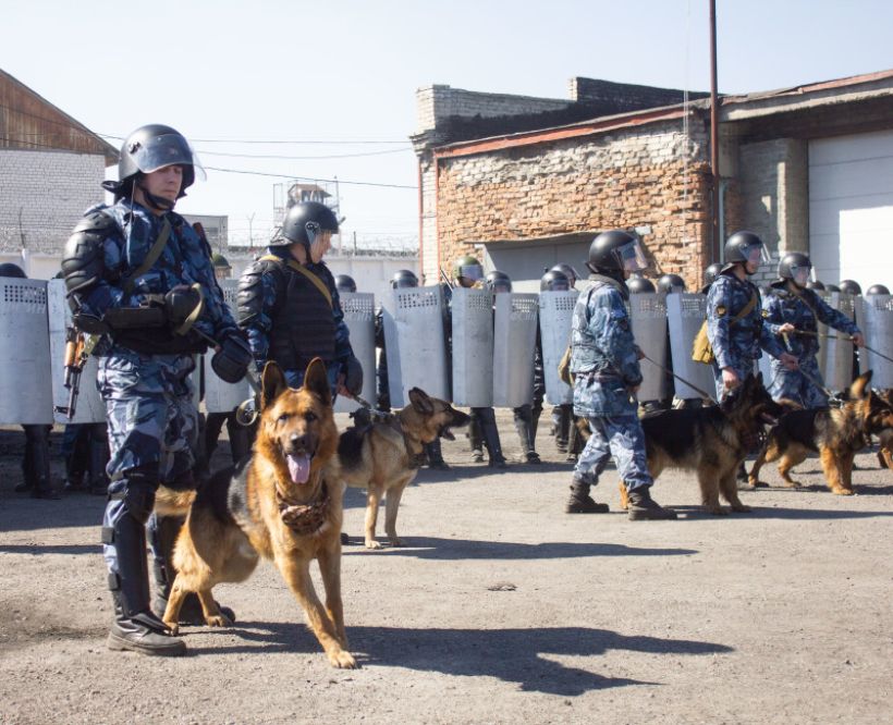  Фото:Анна Меньшикова