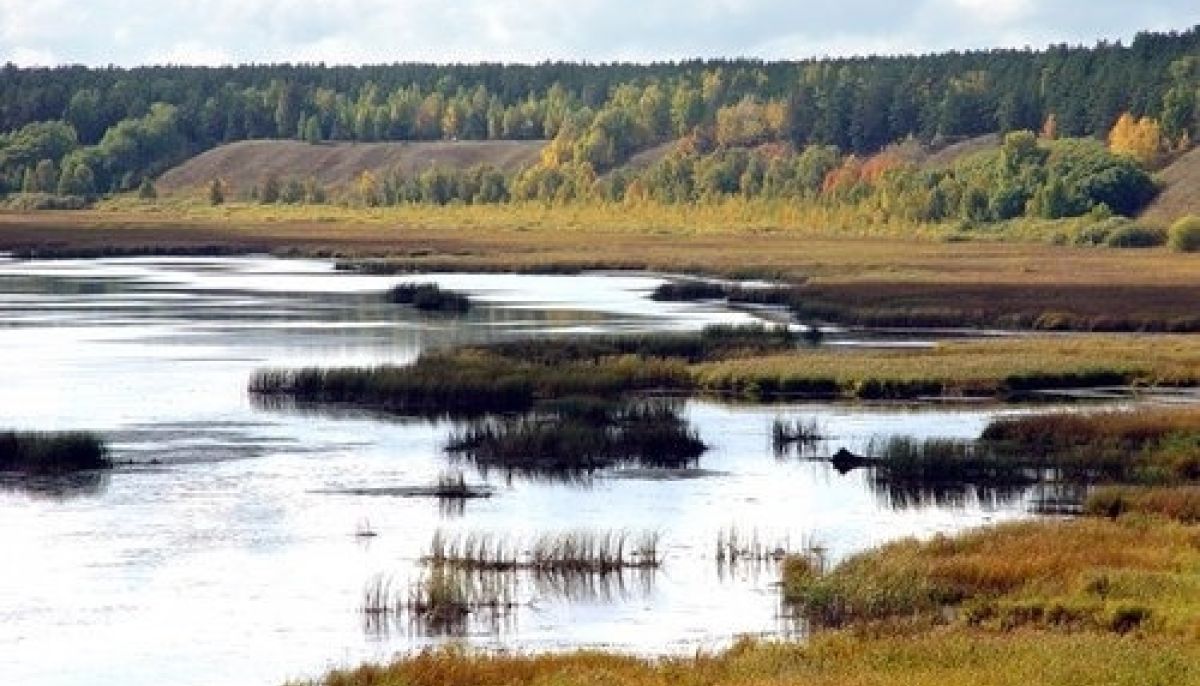 Проданный край. Малетино Алтайский край. Село Малетино Каменский район - камень-на-Оби. Алтайский край Каменский район с Малетино. Каменский район Алтайский край Бор.