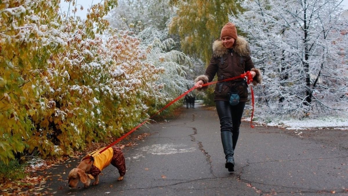 Осень. Первый снег 