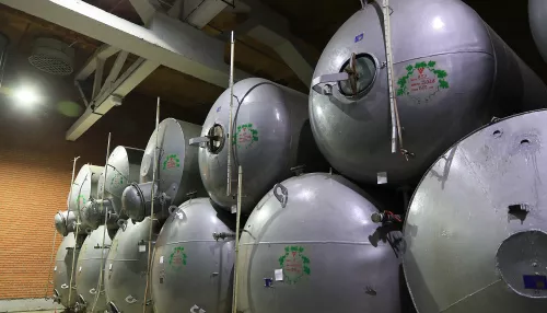 Четверть века уверенного курса. Алтайский производитель напитков отмечает юбилей