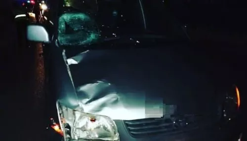 В Барнауле водитель минивена насмерть сбил женщину на дороге