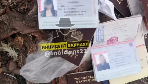 Десятки паспортов выбросили на свалку в селе Алтайского края
