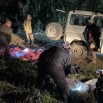 В Алтайском крае браконьер подстрелил марала на всякий случай