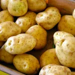 Нетипичная ситуация: почему цены на алтайский картофель взлетели в два раза