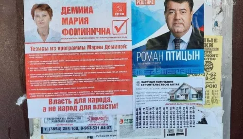 Алтайский депутат списала проигрыш на выборах на низкий IQ избирателей