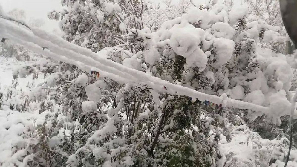 Снег на алтае сегодня фото выпал