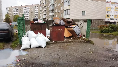 В Новосибирске проучили любителя парковаться у мусорных контейнеров
