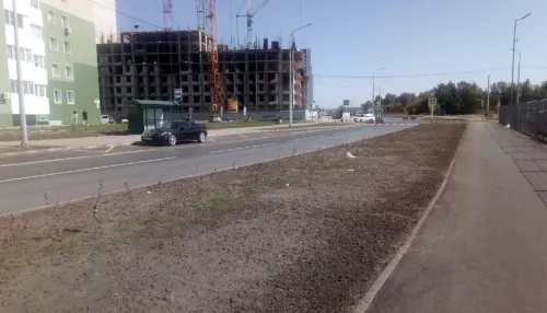 Чиновников Барнаула обязали пересадить кустарник на дороге за 250 млн рублей