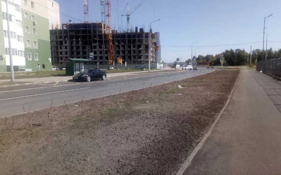 Чиновников Барнаула обязали пересадить кустарник на дороге за 250 млн рублей