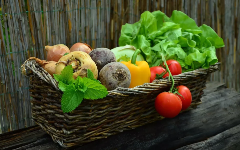 В Барнауле на шести площадках пройдут продуктовые ярмарки