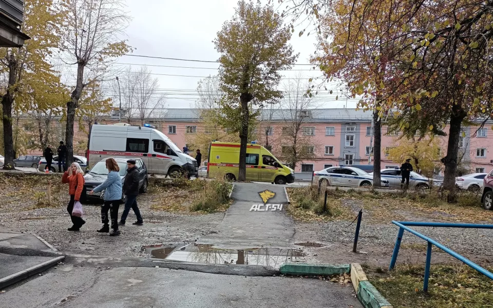 В Новосибирске скорая помощь сбила насмерть семилетнюю девочку