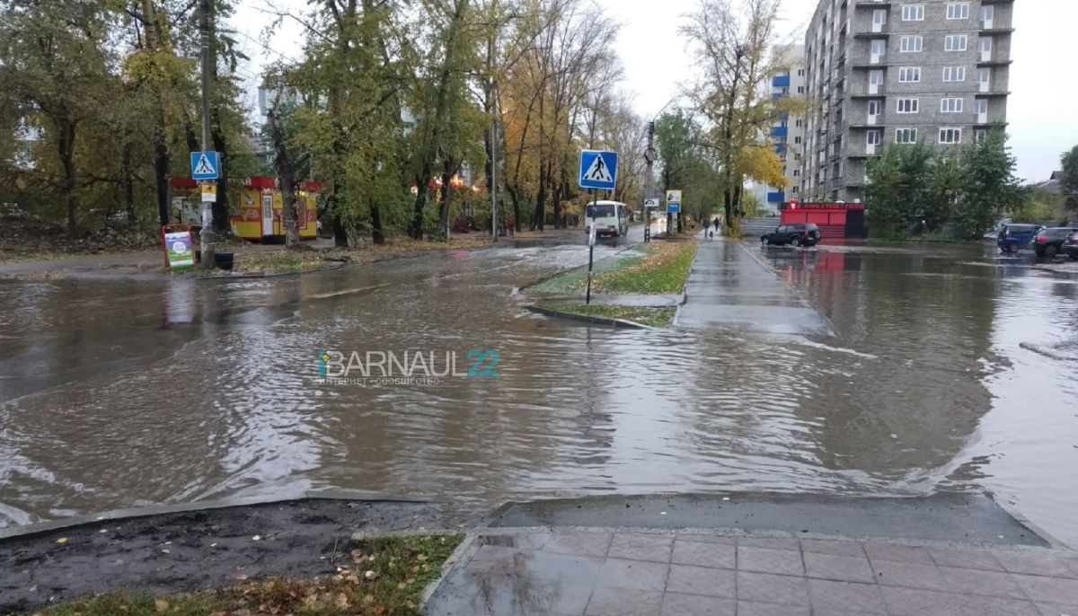 Алей разлился. Бийск лужа. Огромная калюжа. Фото города Бийск после дождя. Потоп в Бийске Мария ра Декабристов 14.