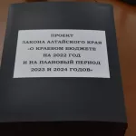 Депутаты приняли амбициозный бюджет Алтайского края на 2022 год