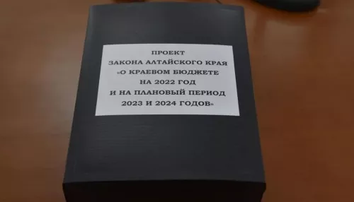 Проект алтайского бюджета между чтениями прибавил 10 млрд рублей