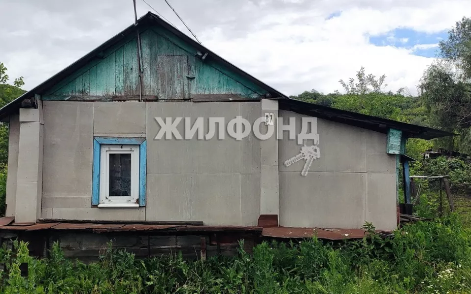 В Барнауле продают самый дешевый дом рядом с тремя озерами