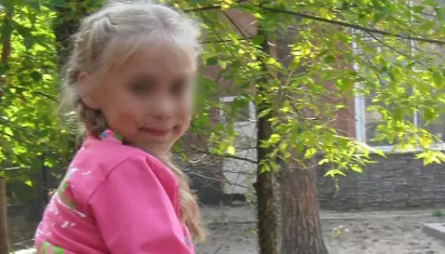 Следствие продолжает поиски пропавшей 7 лет назад под Барнаулом школьницы