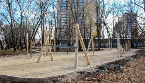 Барнаульцы просят обустроить больше мест для отдыха и прогулок с детьми