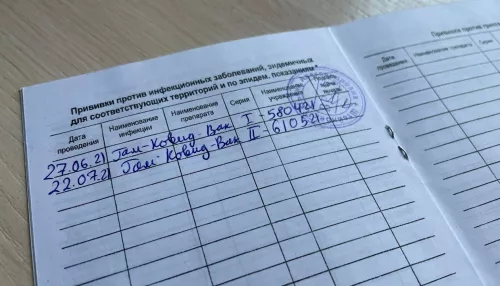 Алтайское правительство объяснило, учтут ли бумажный сертификат вместо QR-кода