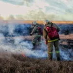 В Барнауле вспыхнул масштабный травяной пожар у садоводства