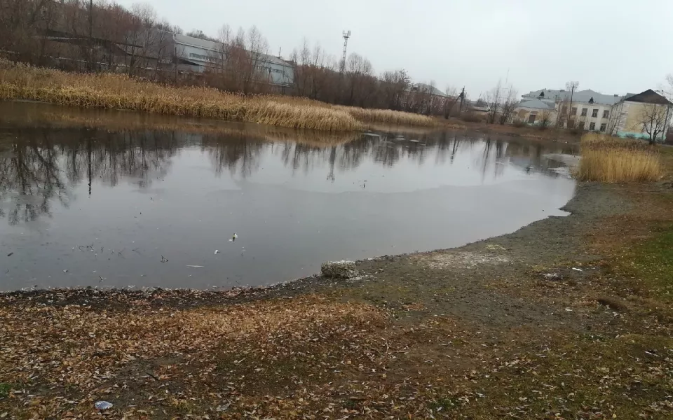 Песня спета: бийчане пожаловались на запустение городского озера