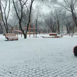 Несколько городских парков Барнаула получили вторую жизнь