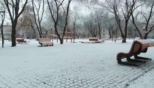 Несколько городских парков Барнаула получили вторую жизнь