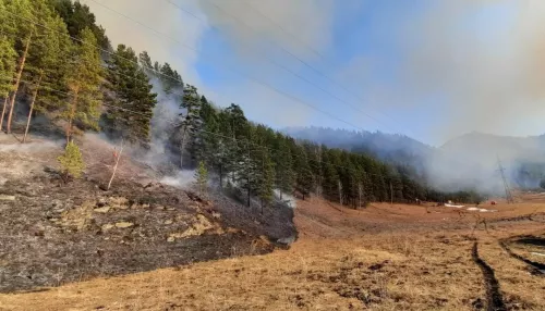 На Алтае мужчина заплатил почти 900 тысяч рублей за лесной пожар