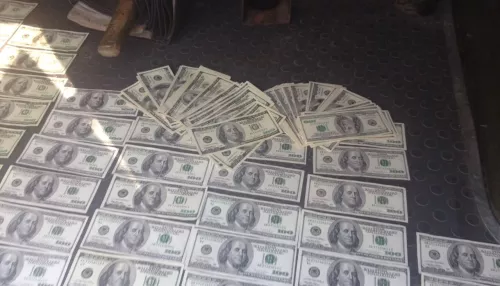 Как борются с распространением наркотиков в Алтайском крае