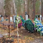В Барнауле ищут подрядчика для благоустройства нового квартала Черницкого кладбища