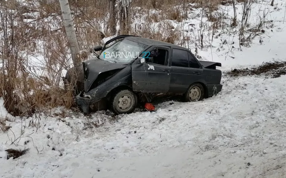 Водитель был пьян: Lada влетела в дерево на алтайской трассе