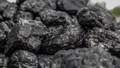 В Алтайском крае почти 40 муниципалитетов вместе закупят уголь на 400 млн рублей