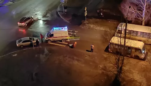 В Барнауле сбившего насмерть девочку водителя маршрутки взяли под стражу