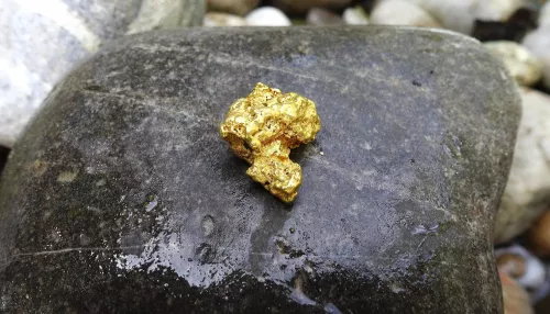Новосибирская компания начнёт добывать золото в Горном Алтае